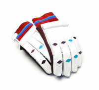 Gloves 1